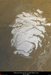 Марсианская полярная шапка